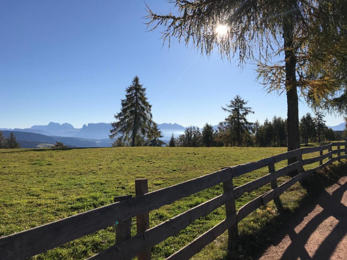 Beckenbinder Apartement Rosengarten San Genesio Atesino Esterno foto